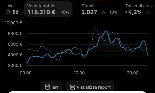 Shopify daily sales screenshot