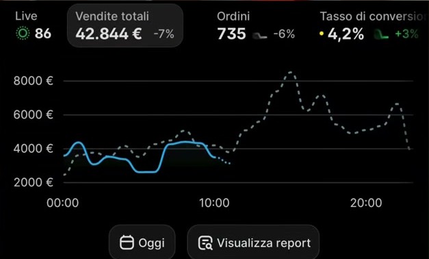 Shopify sales screenshot